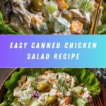 Canned Chicken Salad Recipe