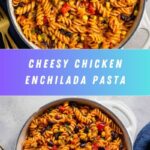 Chicken Enchilada Pasta Recipe