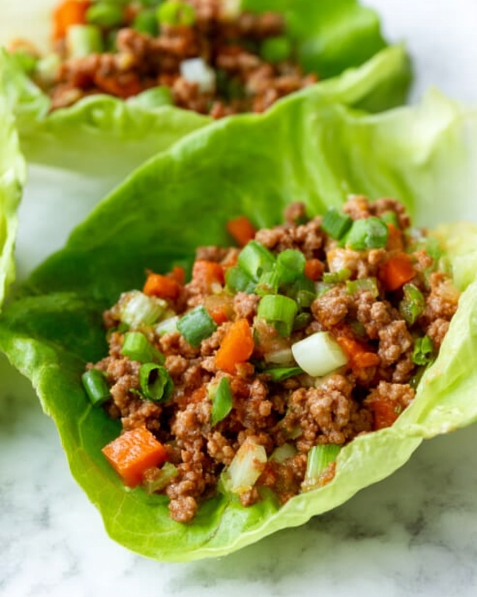 Turkey Lettuce Wraps Recipe - Recipe Image