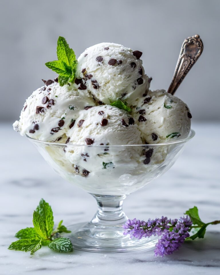 Homemade Mint Chocolate Chip Ice Cream Recipe
