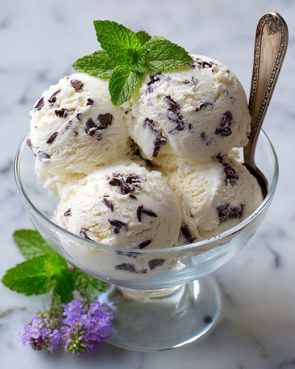 Homemade Mint Chocolate Chip Ice Cream Recipe - Recipe Image