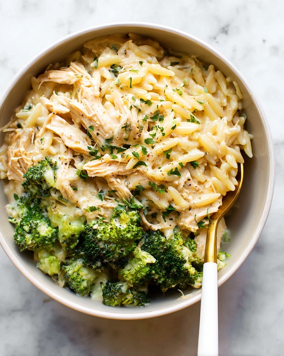 Cheesy Chicken Broccoli Orzo Recipe - Recipe Image