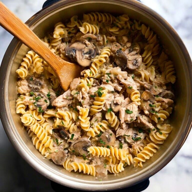 Instant Pot Beef Stroganoff Recipe