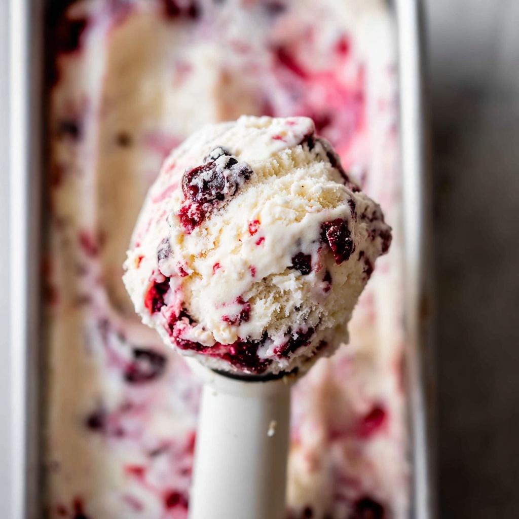 No Churn Raspberry Chocolate Chunk Ice Cream Recipe - Recipe Image