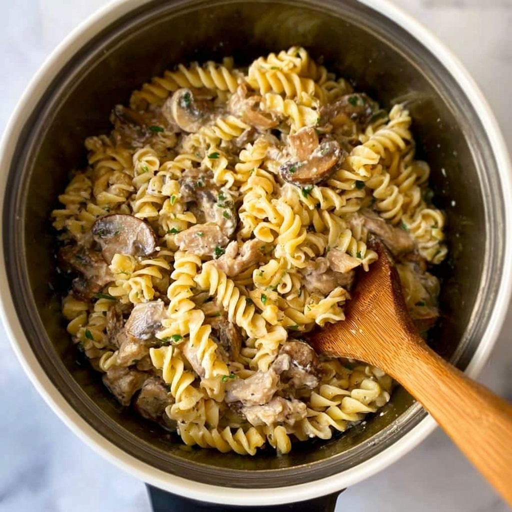 Instant Pot Beef Stroganoff Recipe - Recipe Image