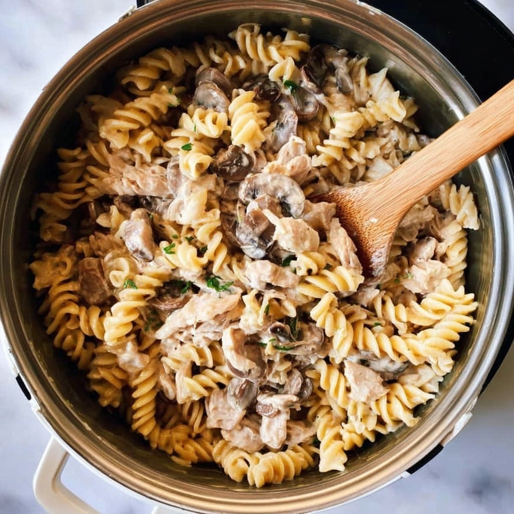 Instant Pot Beef Stroganoff Recipe - Recipe Image